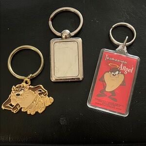 Warner Bros. Gold and Silver Keychain Trio